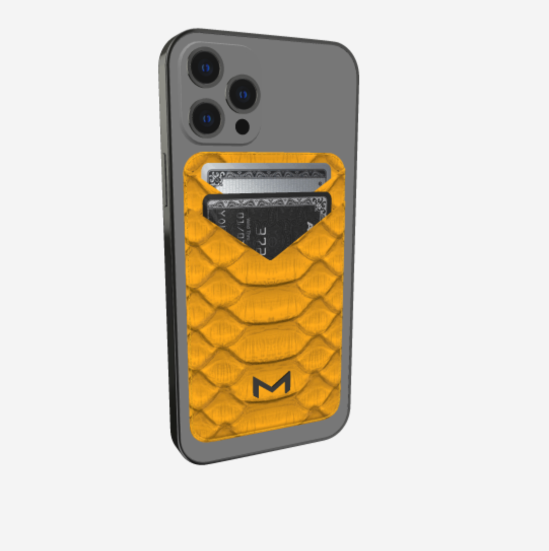 MagSafe Wallet Python